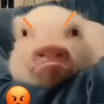 1771767187506.png