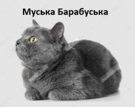 Муська Барабуська.png